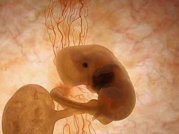 不孕不育在南宁市做试管的费用有多少？一文告诉你做三代试管建档的流程有哪些