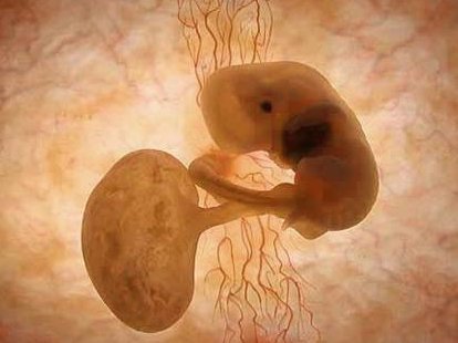 香港做试管婴儿的医院，香港试管婴儿医院排行榜