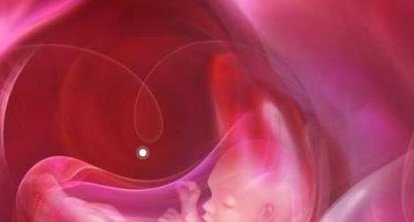 影响试管成功率的因素有哪些？深圳试管总结了这些