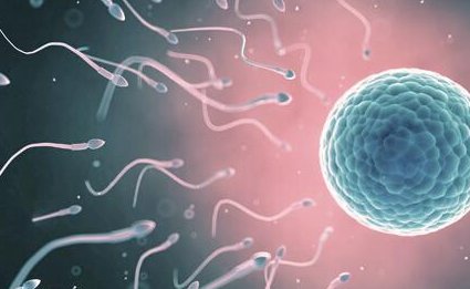 菏泽市中医医院做三代试管婴儿成功率高不高？什么因素可以影响到试管成功率