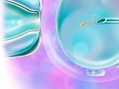 深度报道：宁夏做三代试管婴儿费用如何？三代费用全解析！