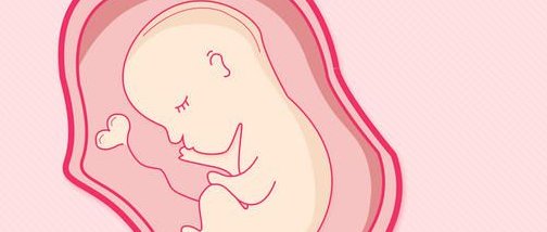 新疆医科大学第一附属医院洗精费用多少钱？试管婴儿移植成功后检查流程有哪些？