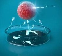 在玉树市做试管婴儿长方案周期需要多久？超长方案促排流程是怎么样的？