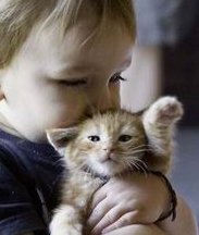 上海做三代试管公立医院哪家比较好