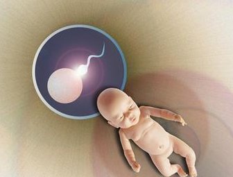 详细解读温岭市做长方案试管婴儿费用，长方案和短方案成功率有差别吗？